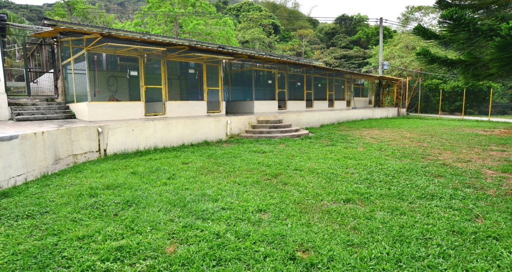 金唐山莊或花園景冷氣房