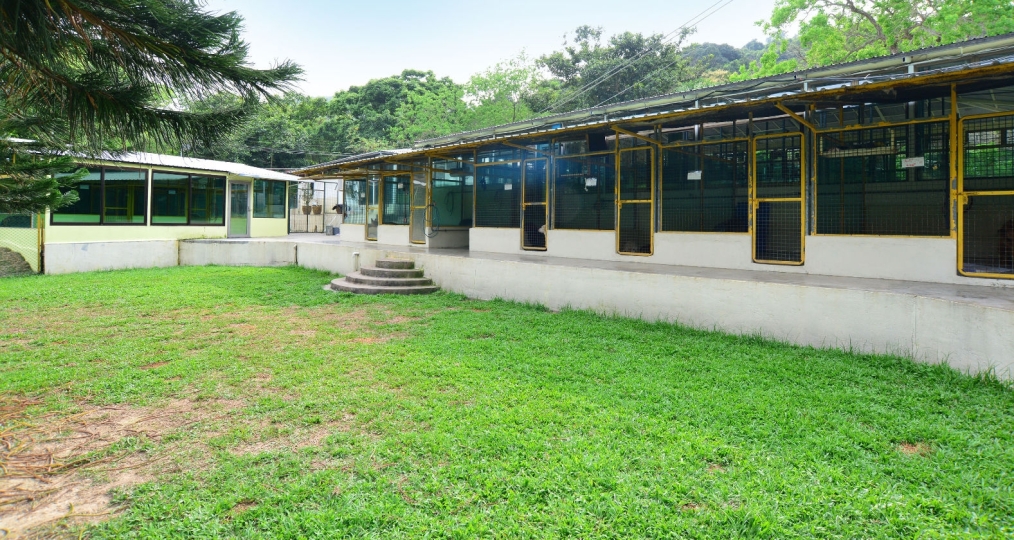 金唐山莊或花園景冷氣房